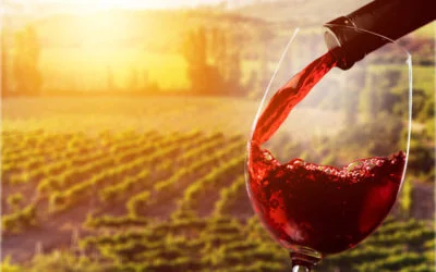 Los caminos del vino